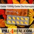 Gelée 100Mg Gelée De Kamagra 42
